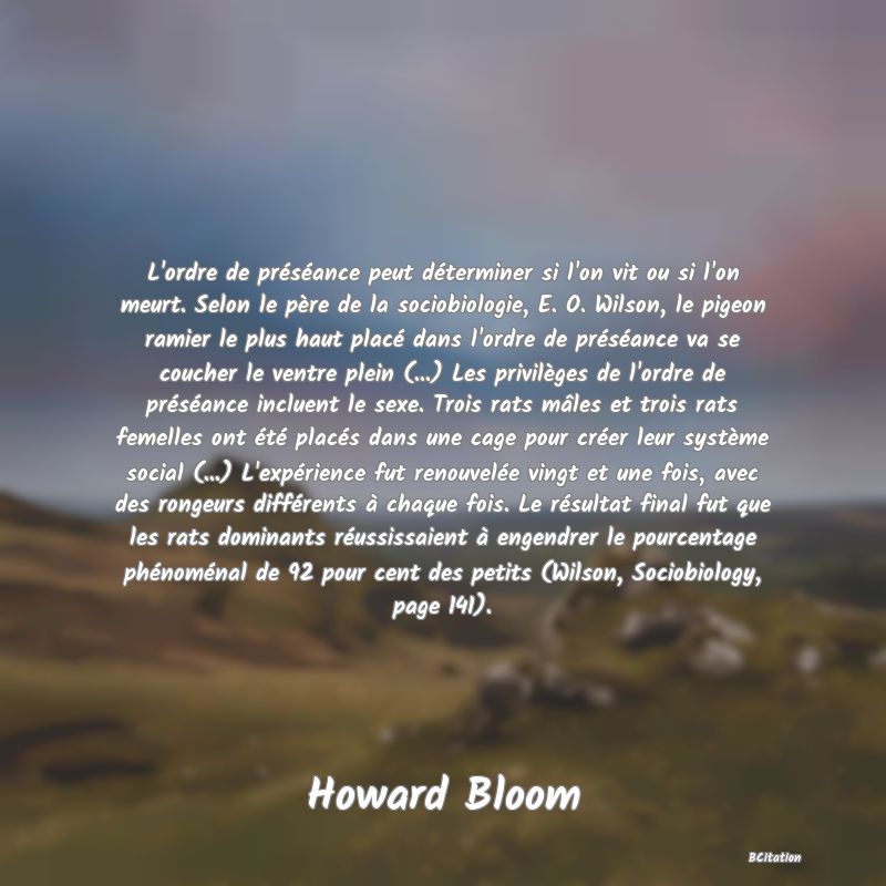 image de citation: L'ordre de préséance peut déterminer si l'on vit ou si l'on meurt. Selon le père de la sociobiologie, E. O. Wilson, le pigeon ramier le plus haut placé dans l'ordre de préséance va se coucher le ventre plein (...) Les privilèges de l'ordre de préséance incluent le sexe. Trois rats mâles et trois rats femelles ont été placés dans une cage pour créer leur système social (...) L'expérience fut renouvelée vingt et une fois, avec des rongeurs différents à chaque fois. Le résultat final fut que les rats dominants réussissaient à engendrer le pourcentage phénoménal de 92 pour cent des petits (Wilson, Sociobiology, page 141).