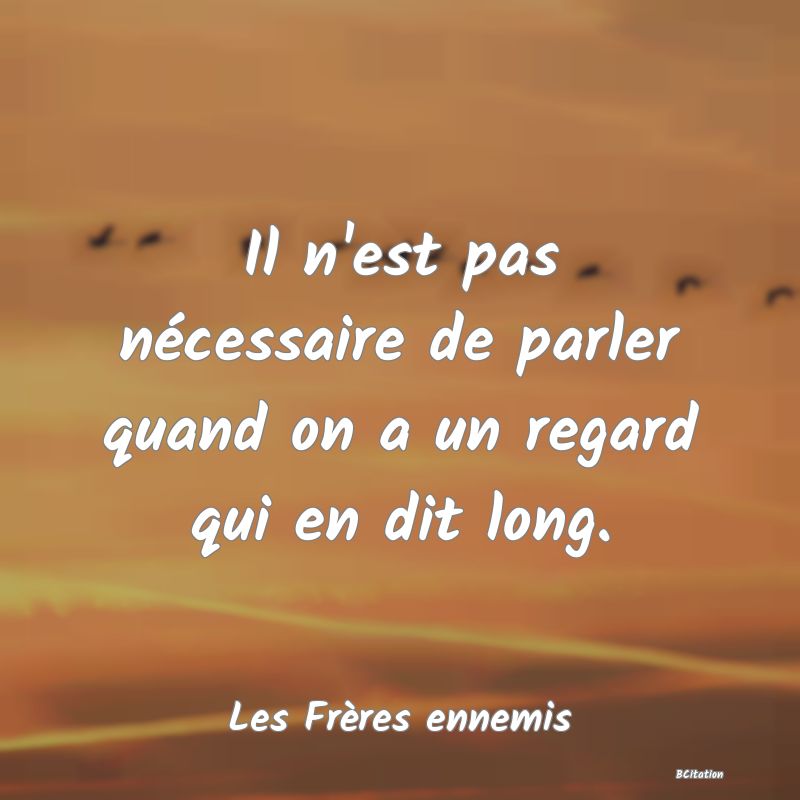 image de citation: Il n'est pas nécessaire de parler quand on a un regard qui en dit long.