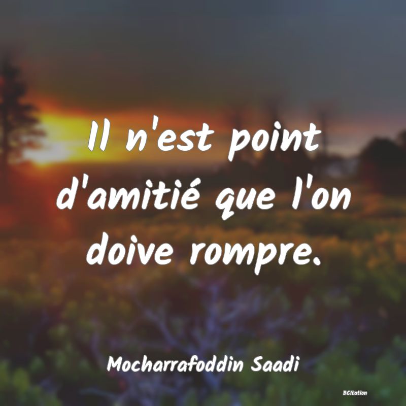 image de citation: Il n'est point d'amitié que l'on doive rompre.