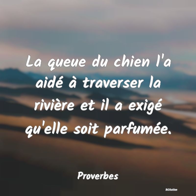 image de citation: La queue du chien l'a aidé à traverser la rivière et il a exigé qu'elle soit parfumée.