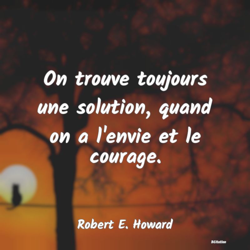 image de citation: On trouve toujours une solution, quand on a l'envie et le courage.
