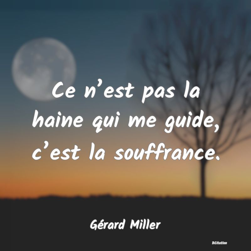 image de citation: Ce n’est pas la haine qui me guide, c’est la souffrance.