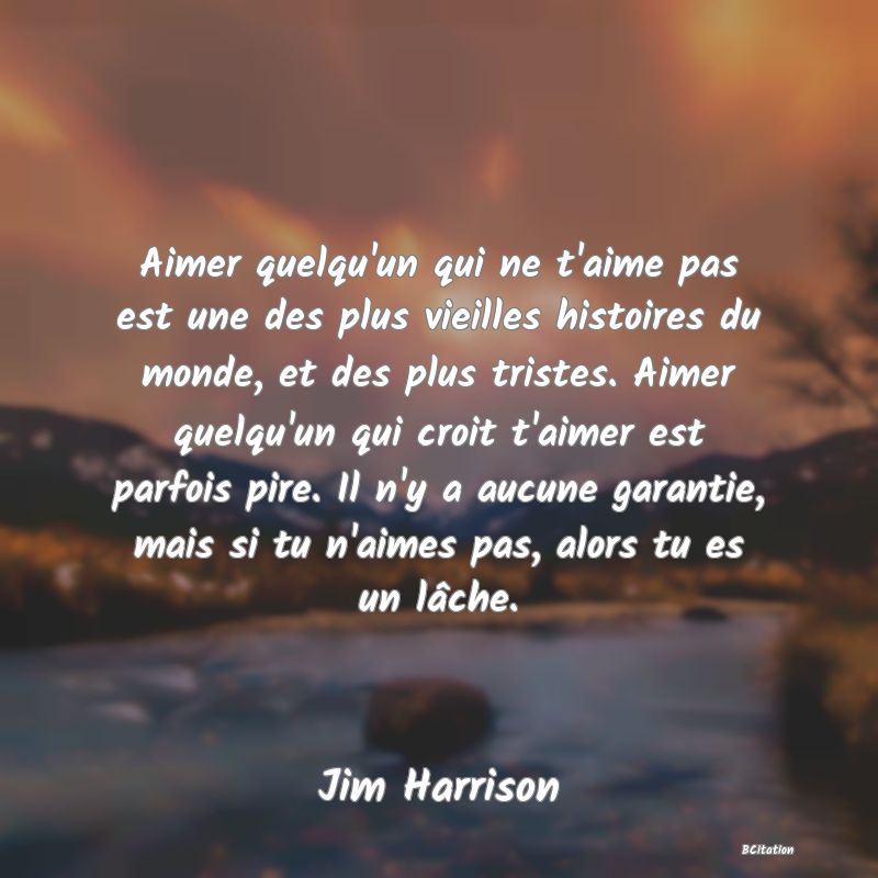 image de citation: Aimer quelqu'un qui ne t'aime pas est une des plus vieilles histoires du monde, et des plus tristes. Aimer quelqu'un qui croit t'aimer est parfois pire. Il n'y a aucune garantie, mais si tu n'aimes pas, alors tu es un lâche.