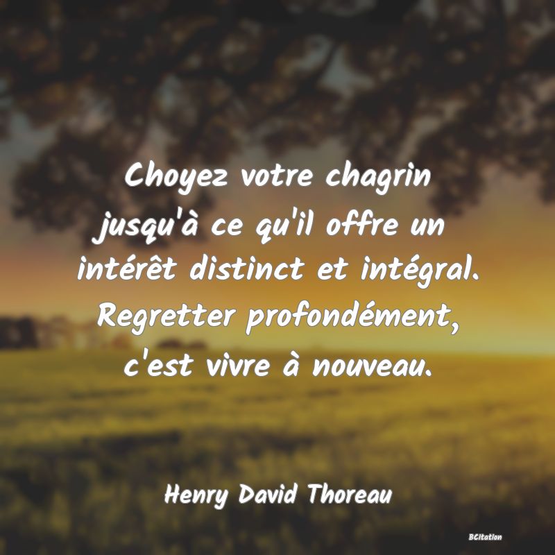 image de citation: Choyez votre chagrin jusqu'à ce qu'il offre un intérêt distinct et intégral. Regretter profondément, c'est vivre à nouveau.