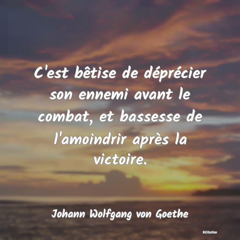 Belle Citation - C'est bêtise de déprécier son ennemi avant le combat, et bassesse de l'amoindrir après la victoire. - Johann Wolfgang von Goethe