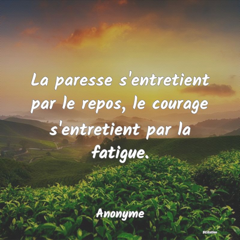 Belle Citation - La paresse s'entretient par le repos, le courage s'entretient par la fatigue. - Anonyme
