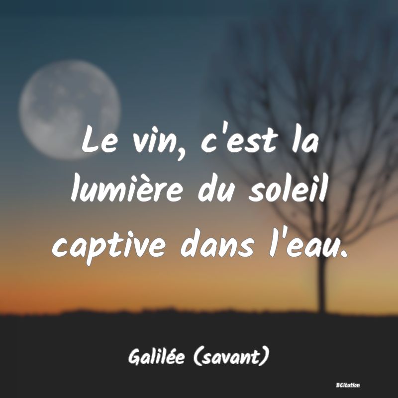 image de citation: Le vin, c'est la lumière du soleil captive dans l'eau.