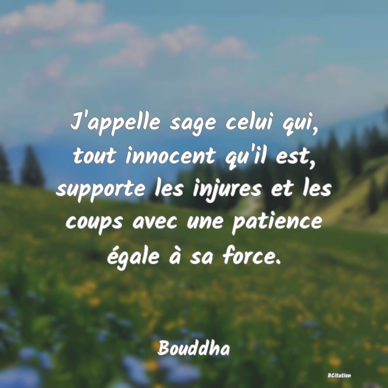 image de citation: J'appelle sage celui qui, tout innocent qu'il est, supporte les injures et les coups avec une patience égale à sa force.