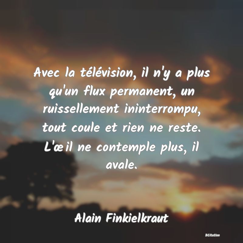 image de citation: Avec la télévision, il n'y a plus qu'un flux permanent, un ruissellement ininterrompu, tout coule et rien ne reste. L'œil ne contemple plus, il avale.