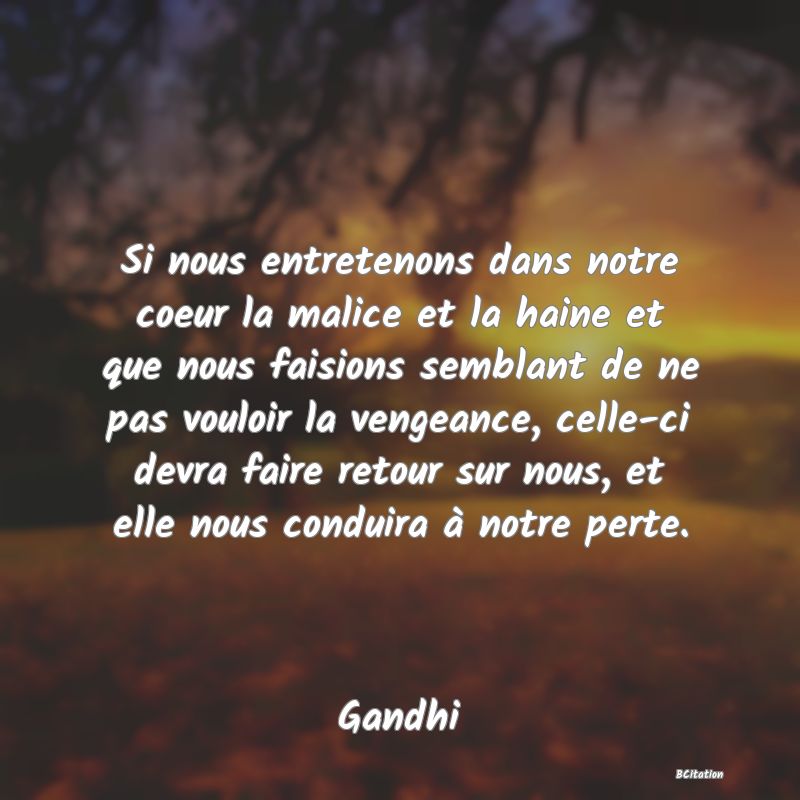 image de citation: Si nous entretenons dans notre coeur la malice et la haine et que nous faisions semblant de ne pas vouloir la vengeance, celle-ci devra faire retour sur nous, et elle nous conduira à notre perte.