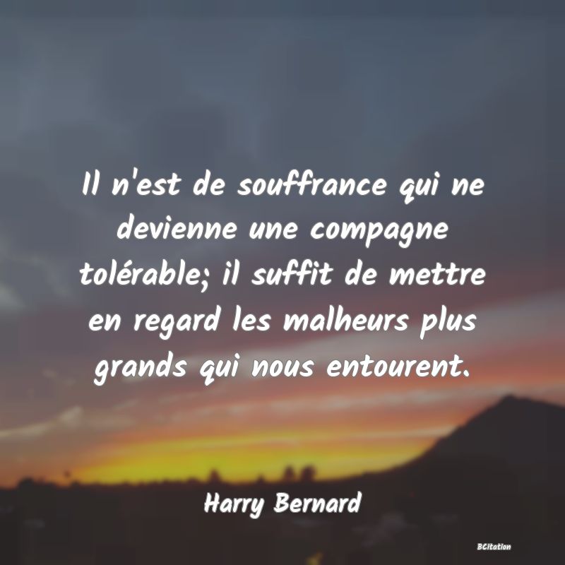 image de citation: Il n'est de souffrance qui ne devienne une compagne tolérable; il suffit de mettre en regard les malheurs plus grands qui nous entourent.