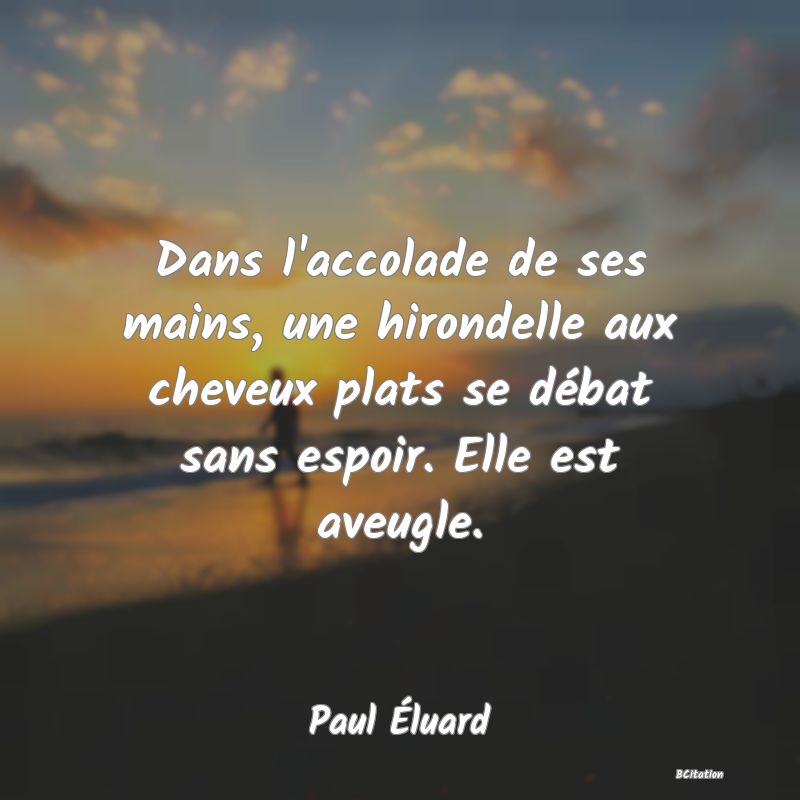 image de citation: Dans l'accolade de ses mains, une hirondelle aux cheveux plats se débat sans espoir. Elle est aveugle.