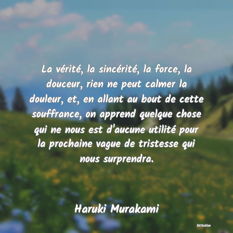 image de citation: La vérité, la sincérité, la force, la douceur, rien ne peut calmer la douleur, et, en allant au bout de cette souffrance, on apprend quelque chose qui ne nous est d'aucune utilité pour la prochaine vague de tristesse qui nous surprendra.