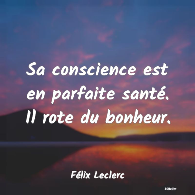 image de citation: Sa conscience est en parfaite santé. Il rote du bonheur.