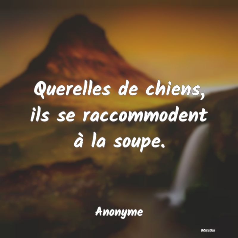 image de citation: Querelles de chiens, ils se raccommodent à la soupe.