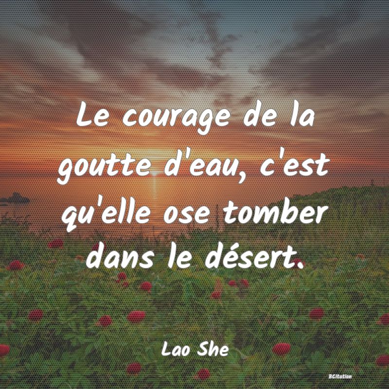 image de citation: Le courage de la goutte d'eau, c'est qu'elle ose tomber dans le désert.