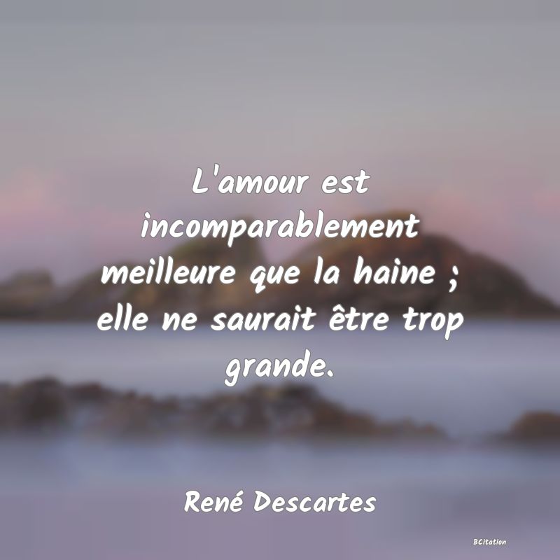 image de citation: L'amour est incomparablement meilleure que la haine ; elle ne saurait être trop grande.