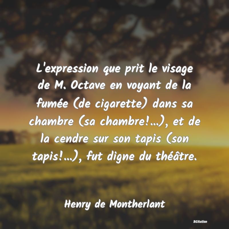 image de citation: L'expression que prit le visage de M. Octave en voyant de la fumée (de cigarette) dans sa chambre (sa chambre!...), et de la cendre sur son tapis (son tapis!...), fut digne du théâtre.