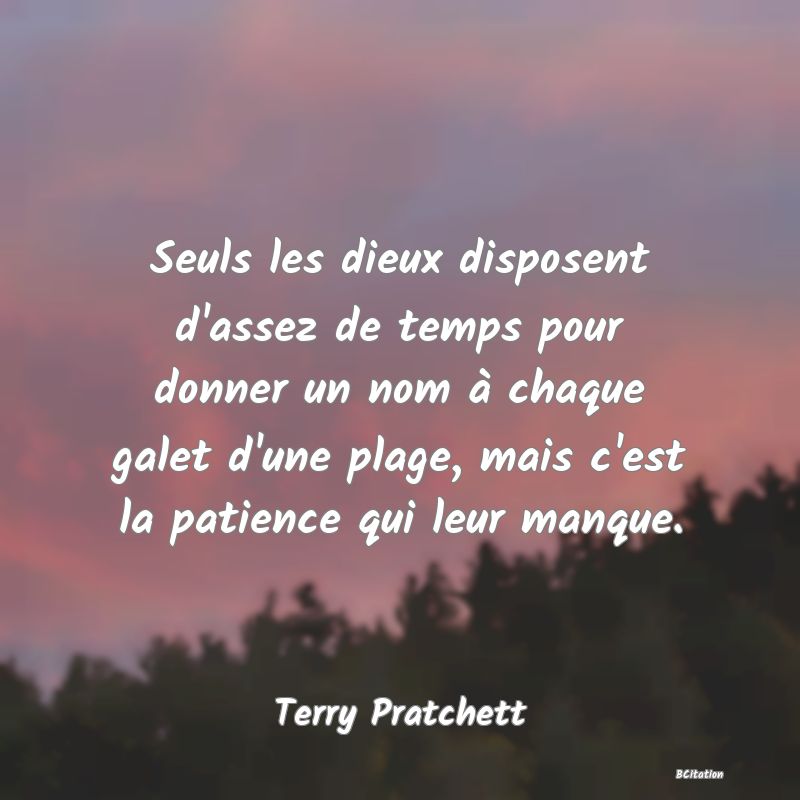 image de citation: Seuls les dieux disposent d'assez de temps pour donner un nom à chaque galet d'une plage, mais c'est la patience qui leur manque.