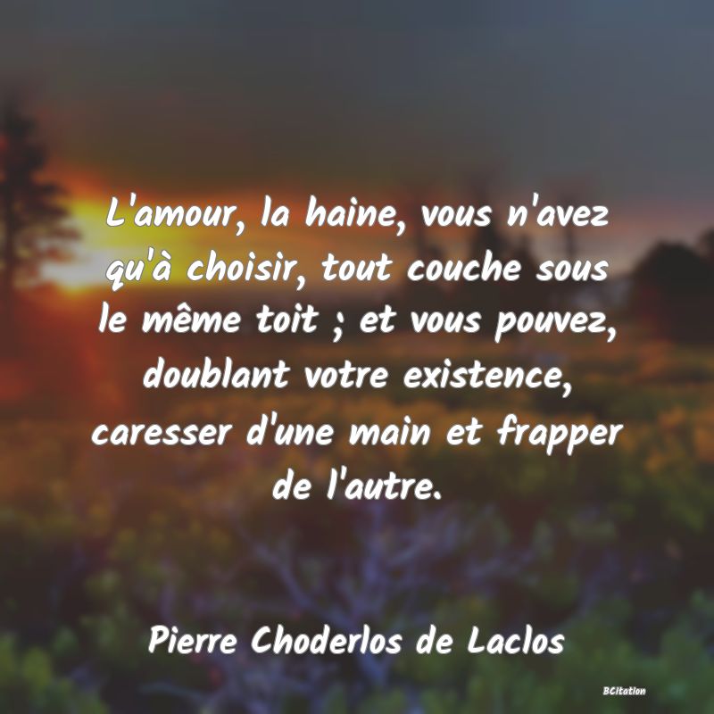 image de citation: L'amour, la haine, vous n'avez qu'à choisir, tout couche sous le même toit ; et vous pouvez, doublant votre existence, caresser d'une main et frapper de l'autre.