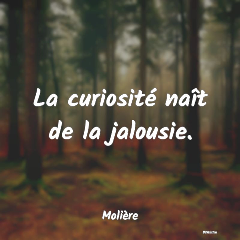 image de citation: La curiosité naît de la jalousie.