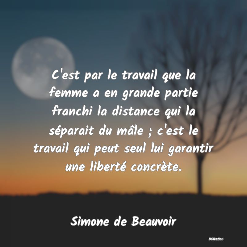 image de citation: C'est par le travail que la femme a en grande partie franchi la distance qui la séparait du mâle ; c'est le travail qui peut seul lui garantir une liberté concrète.