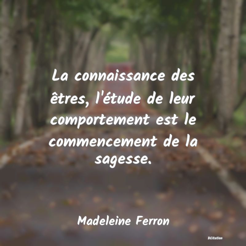 image de citation: La connaissance des êtres, l'étude de leur comportement est le commencement de la sagesse.