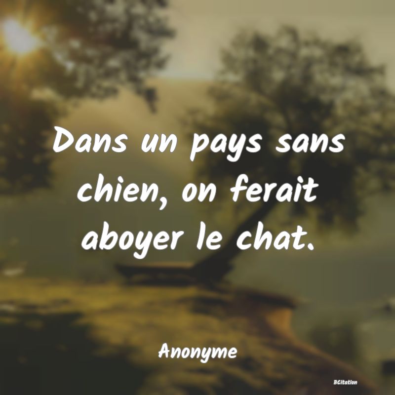 image de citation: Dans un pays sans chien, on ferait aboyer le chat.