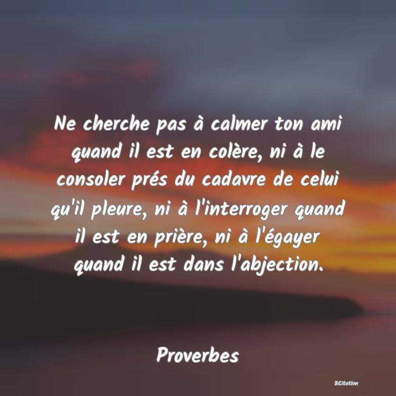 Belle Citation - Ne cherche pas à calmer ton ami quand il est en colère, ni à le consoler prés du cadavre de celui qu'il pleure, ni à l'interroger quand il est en prière, ni à l'égayer quand il est dans l'abjection. - Proverbes