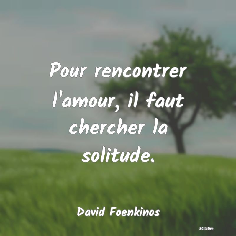 Belle Citation - Pour rencontrer l'amour, il faut chercher la solitude. - David Foenkinos
