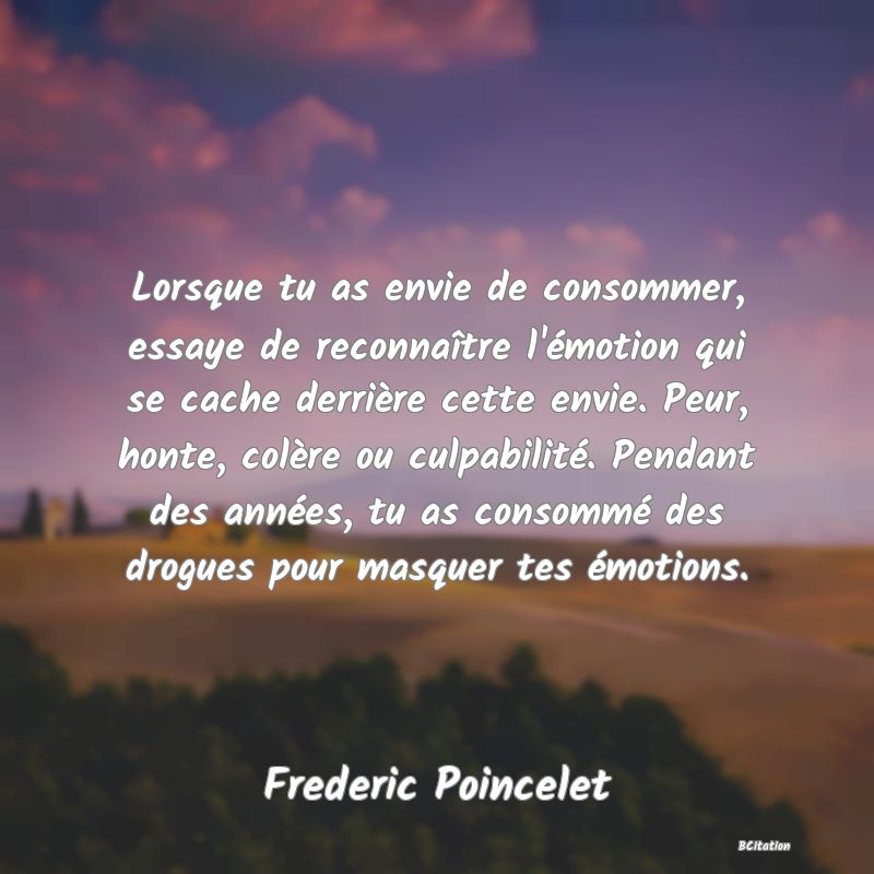 Belle Citation - Lorsque tu as envie de consommer, essaye de reconnaître l'émotion qui se cache derrière cette envie. Peur, honte, colère ou culpabilité. Pendant des années, tu as consommé des drogues pour masquer tes émotions. - Frederic Poincelet