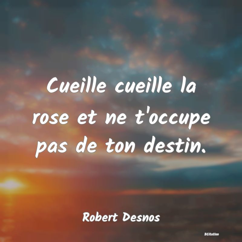 image de citation: Cueille cueille la rose et ne t'occupe pas de ton destin.