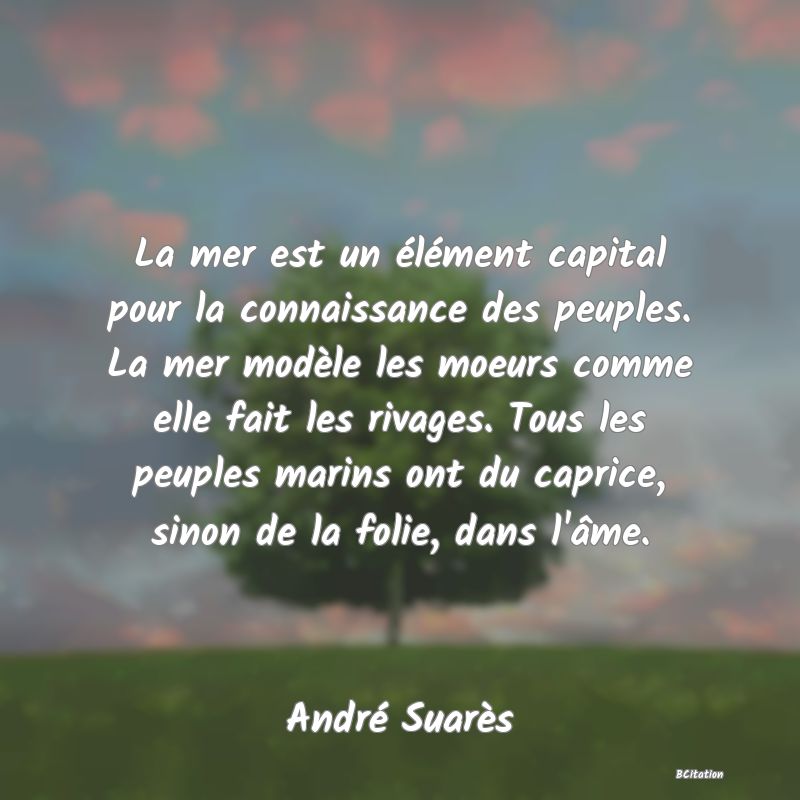 image de citation: La mer est un élément capital pour la connaissance des peuples. La mer modèle les moeurs comme elle fait les rivages. Tous les peuples marins ont du caprice, sinon de la folie, dans l'âme.