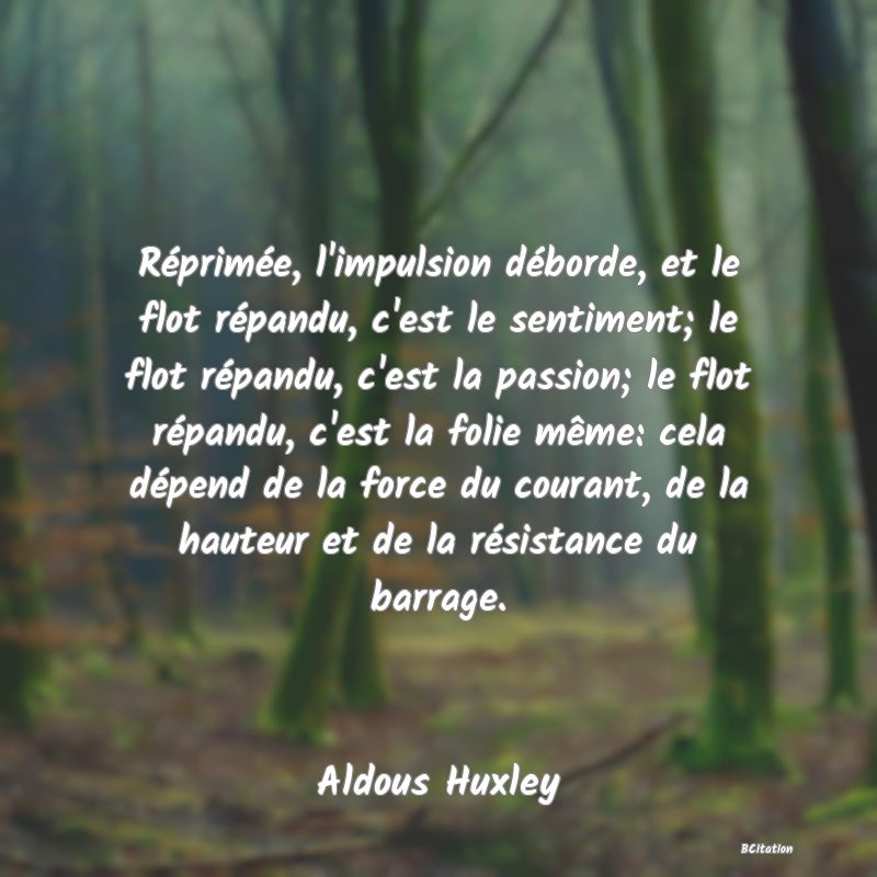 image de citation: Réprimée, l'impulsion déborde, et le flot répandu, c'est le sentiment; le flot répandu, c'est la passion; le flot répandu, c'est la folie même: cela dépend de la force du courant, de la hauteur et de la résistance du barrage.