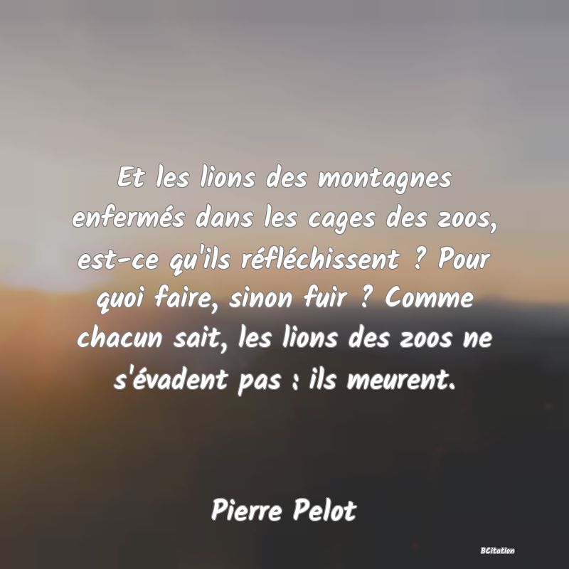 image de citation: Et les lions des montagnes enfermés dans les cages des zoos, est-ce qu'ils réfléchissent ? Pour quoi faire, sinon fuir ? Comme chacun sait, les lions des zoos ne s'évadent pas : ils meurent.