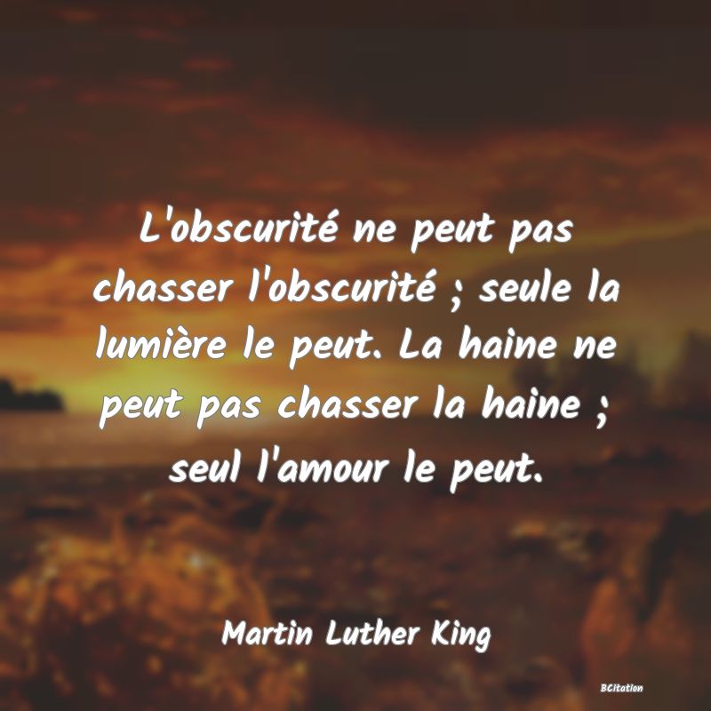 image de citation: L'obscurité ne peut pas chasser l'obscurité ; seule la lumière le peut. La haine ne peut pas chasser la haine ; seul l'amour le peut.