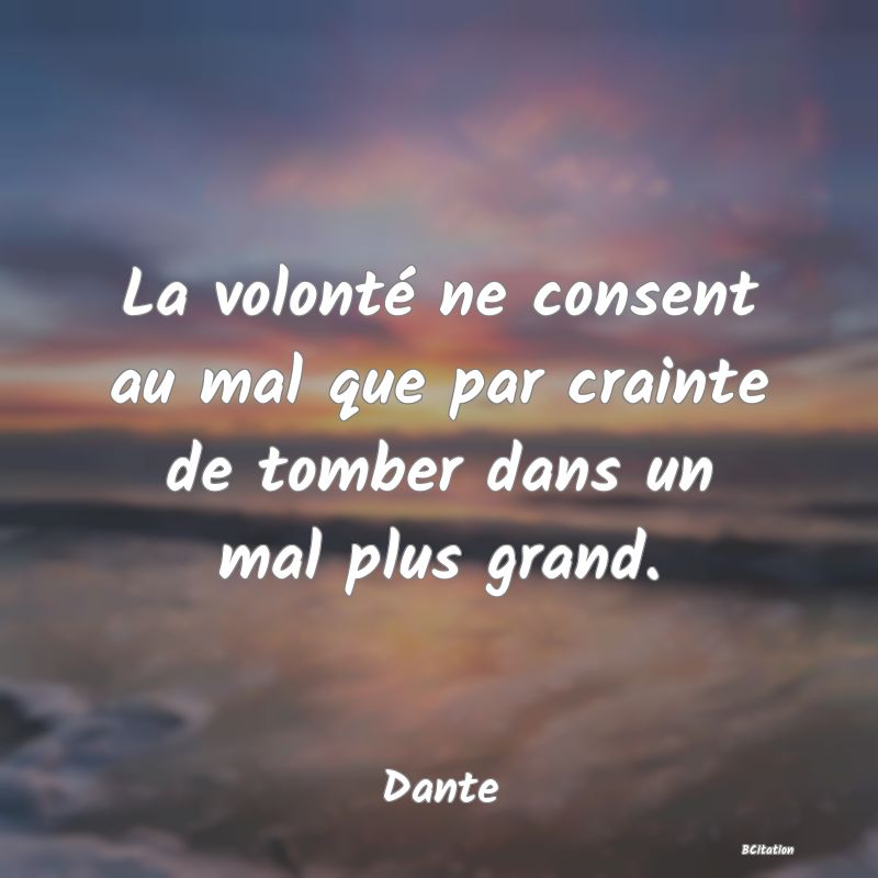 image de citation: La volonté ne consent au mal que par crainte de tomber dans un mal plus grand.