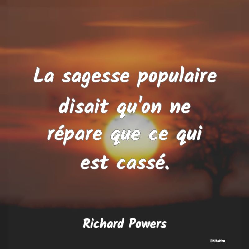 image de citation: La sagesse populaire disait qu'on ne répare que ce qui est cassé.