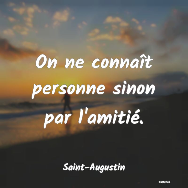 image de citation: On ne connaît personne sinon par l'amitié.