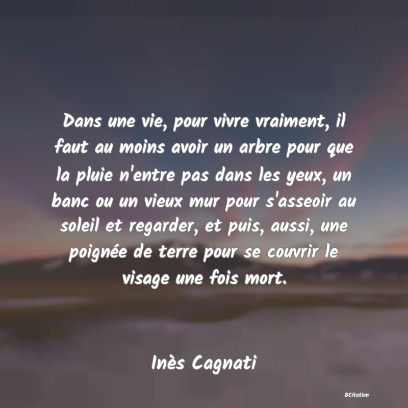 image de citation: Dans une vie, pour vivre vraiment, il faut au moins avoir un arbre pour que la pluie n'entre pas dans les yeux, un banc ou un vieux mur pour s'asseoir au soleil et regarder, et puis, aussi, une poignée de terre pour se couvrir le visage une fois mort.