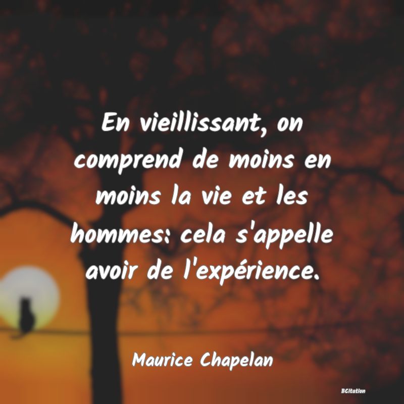 Belle Citation - En vieillissant, on comprend de moins en moins la vie et les hommes: cela s'appelle avoir de l'expérience. - Maurice Chapelan
