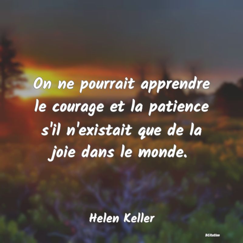 image de citation: On ne pourrait apprendre le courage et la patience s'il n'existait que de la joie dans le monde.