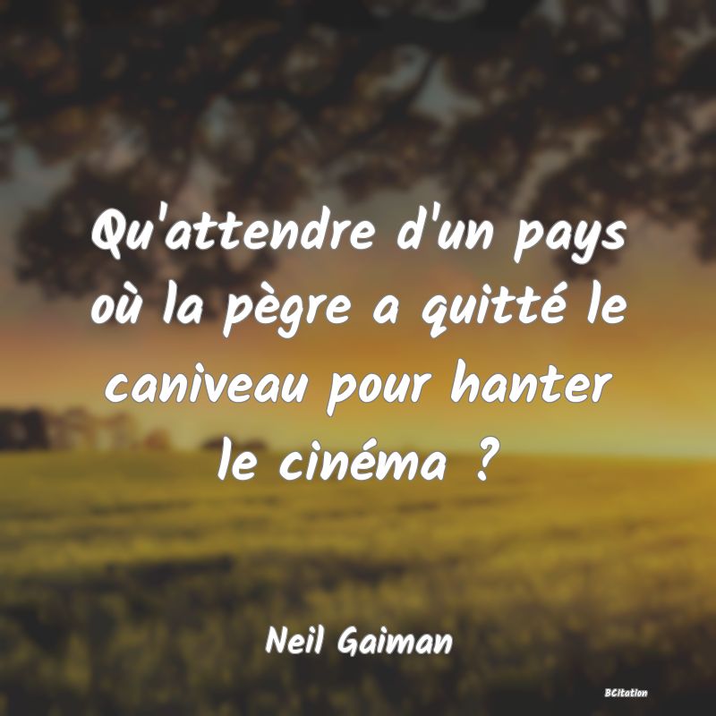 Belle Citation - Qu'attendre d'un pays où la pègre a quitté le caniveau pour hanter le cinéma ? - Neil Gaiman
