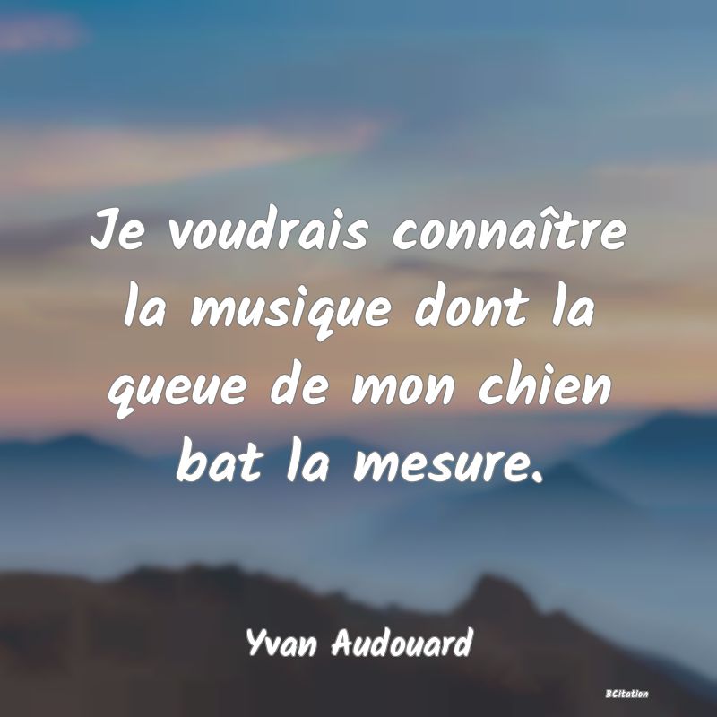 image de citation: Je voudrais connaître la musique dont la queue de mon chien bat la mesure.