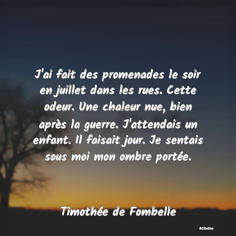 image de citation: J'ai fait des promenades le soir en juillet dans les rues. Cette odeur. Une chaleur nue, bien après la guerre. J'attendais un enfant. Il faisait jour. Je sentais sous moi mon ombre portée.