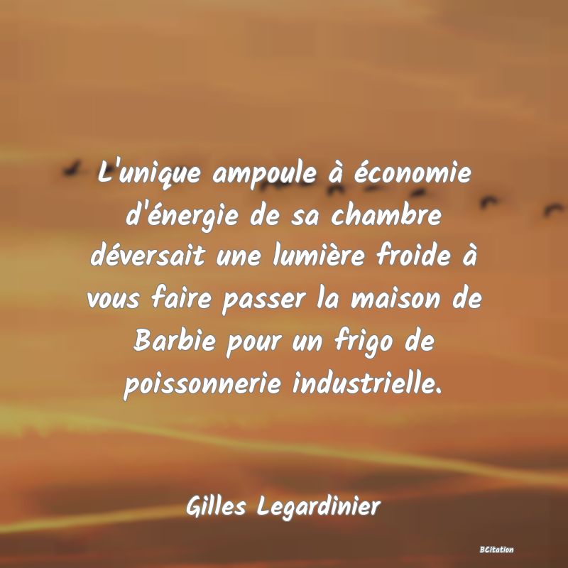 image de citation: L'unique ampoule à économie d'énergie de sa chambre déversait une lumière froide à vous faire passer la maison de Barbie pour un frigo de poissonnerie industrielle.