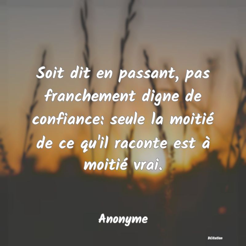 image de citation: Soit dit en passant, pas franchement digne de confiance: seule la moitié de ce qu'il raconte est à moitié vrai.