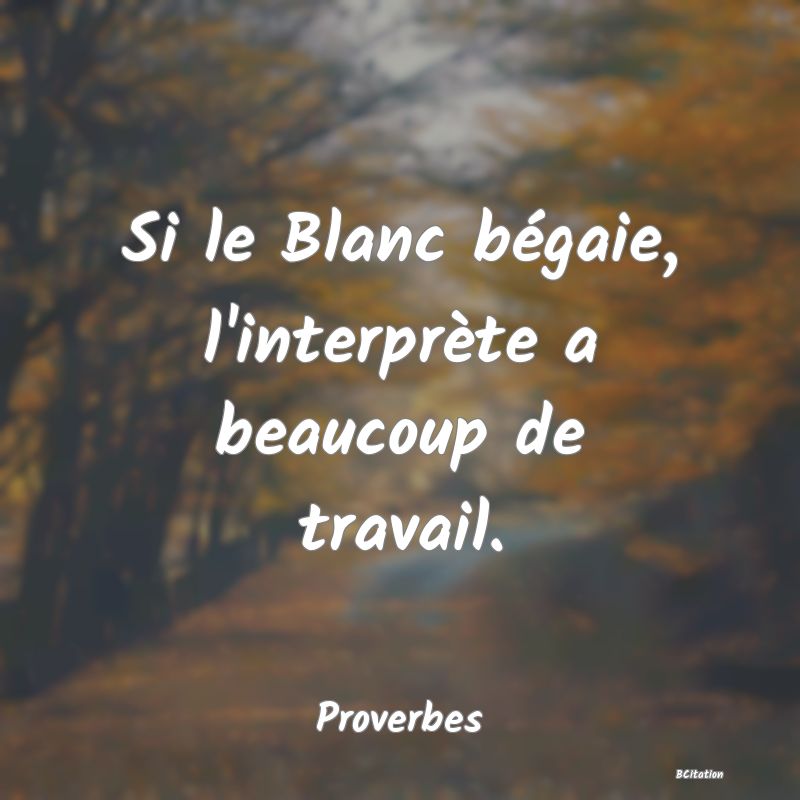 image de citation: Si le Blanc bégaie, l'interprète a beaucoup de travail.