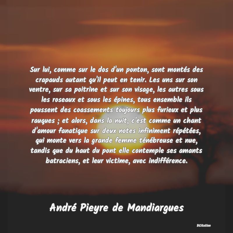 image de citation: Sur lui, comme sur le dos d'un ponton, sont montés des crapauds autant qu'il peut en tenir. Les uns sur son ventre, sur sa poitrine et sur son visage, les autres sous les roseaux et sous les épines, tous ensemble ils poussent des coassements toujours plus furieux et plus rauques ; et alors, dans la nuit, c'est comme un chant d'amour fanatique sur deux notes infiniment répétées, qui monte vers la grande femme ténébreuse et nue, tandis que du haut du pont elle contemple ses amants batraciens, et leur victime, avec indifférence.