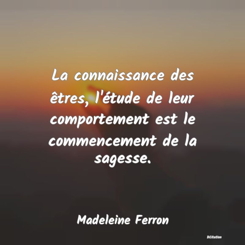 image de citation: La connaissance des êtres, l'étude de leur comportement est le commencement de la sagesse.